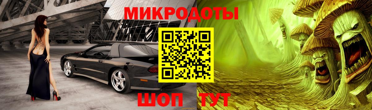 Псилоцибиновые грибы Psilocybe  Вход с VPN  Галлюциногенные грибы GOLDEN TEACHER  закладки  Чистополь 