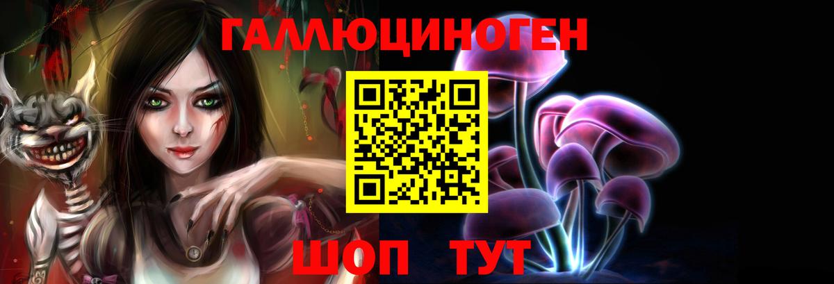 Псилоцибиновые грибы Psilocybe Чистополь